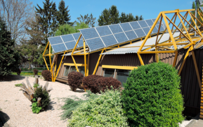 Gemeinsam der Umwelt zuliebe